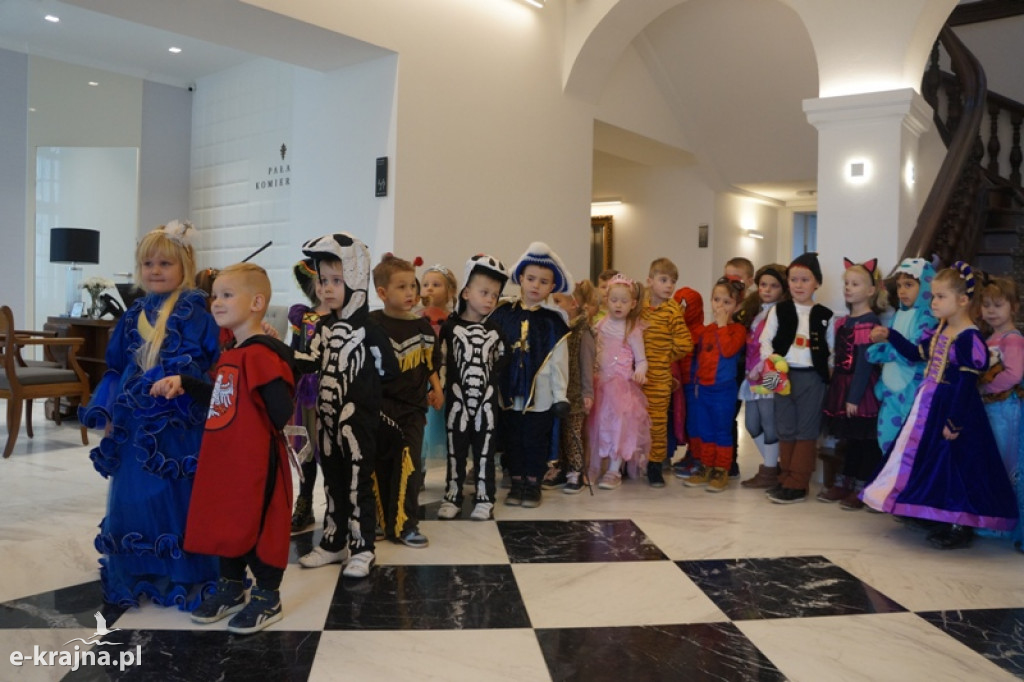 Bajkowy fotoplener w pałacu w Komierowie