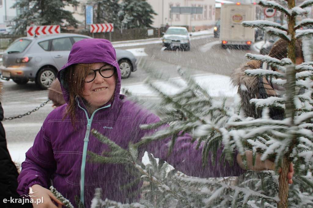 Świąteczne konkursy plastyczne rozstrzygnięte