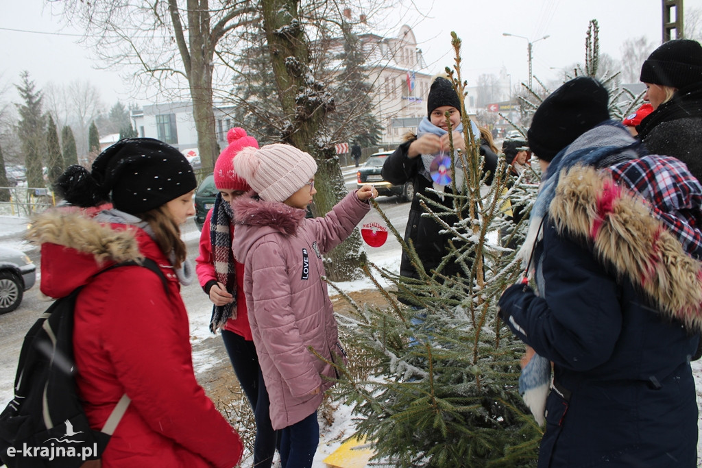 Świąteczne konkursy plastyczne rozstrzygnięte