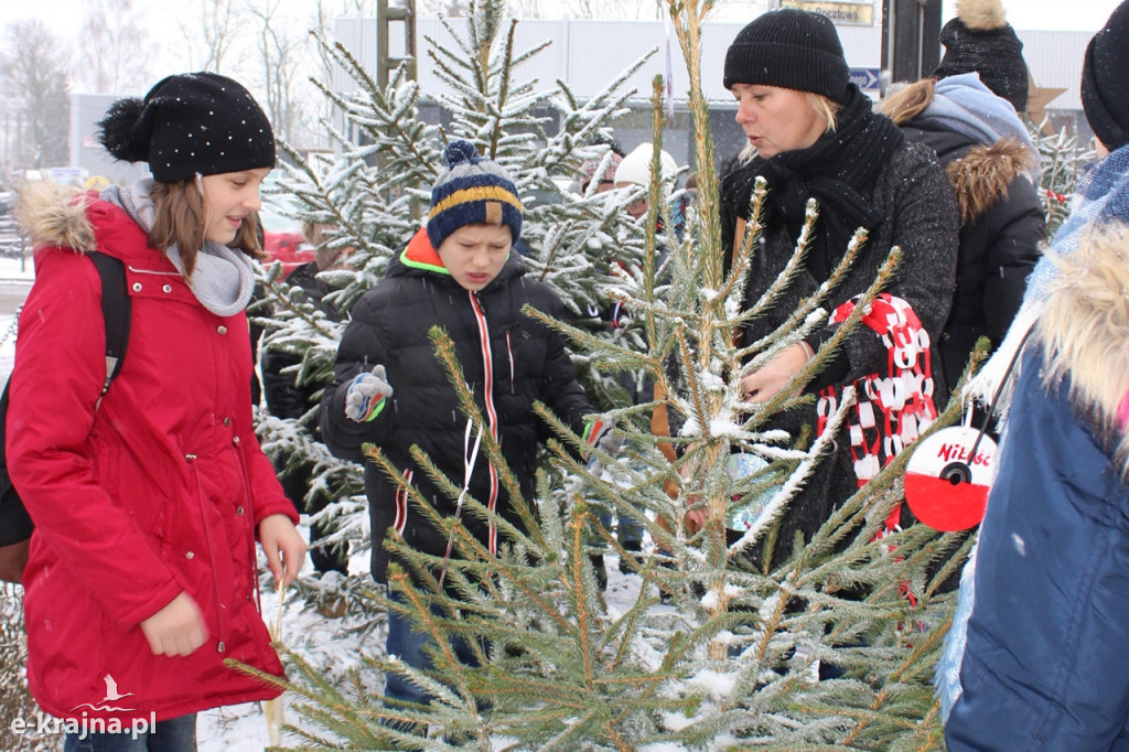 Świąteczne konkursy plastyczne rozstrzygnięte