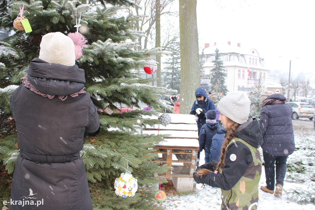 Świąteczne konkursy plastyczne rozstrzygnięte