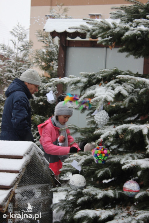 Świąteczne konkursy plastyczne rozstrzygnięte
