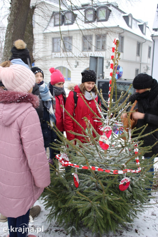 Świąteczne konkursy plastyczne rozstrzygnięte