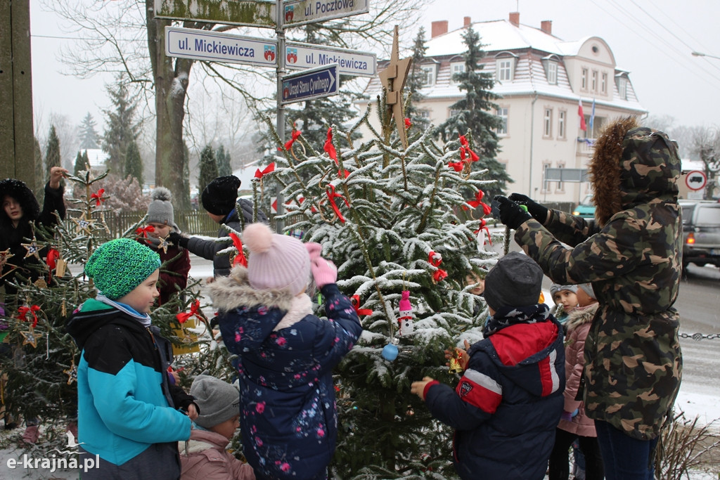 Świąteczne konkursy plastyczne rozstrzygnięte