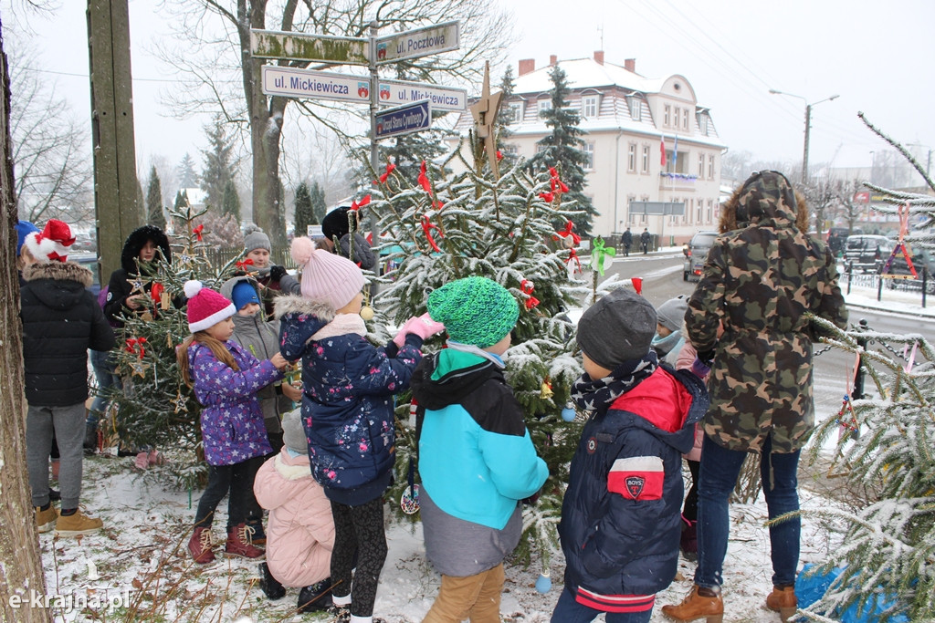 Świąteczne konkursy plastyczne rozstrzygnięte