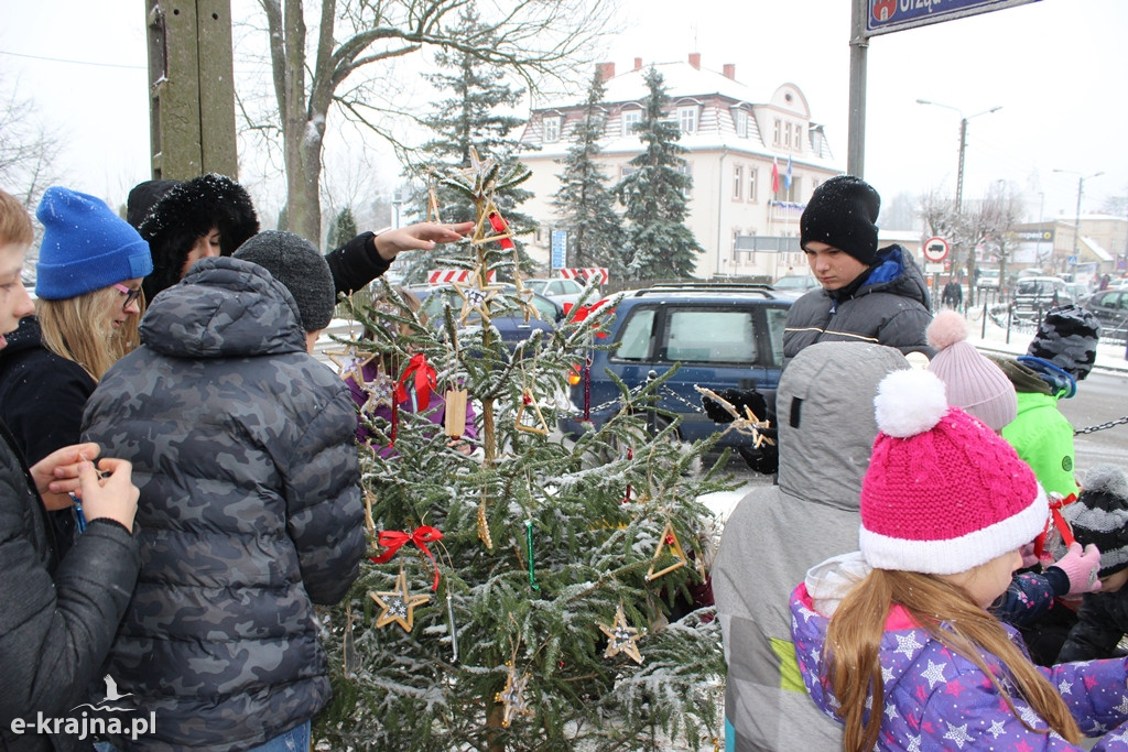 Świąteczne konkursy plastyczne rozstrzygnięte