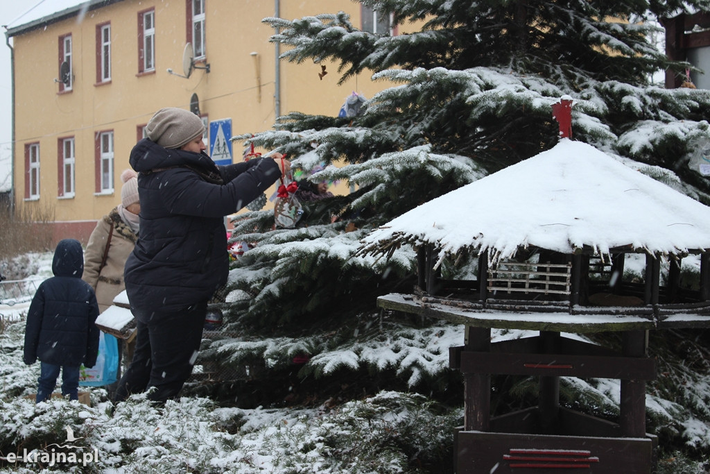 Świąteczne konkursy plastyczne rozstrzygnięte