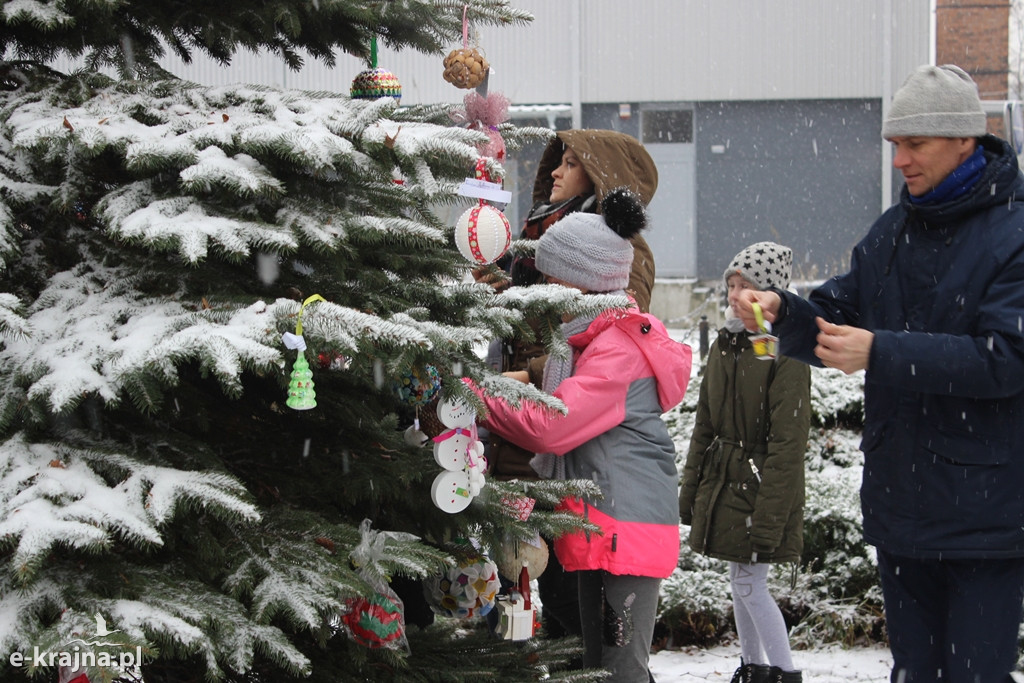 Świąteczne konkursy plastyczne rozstrzygnięte