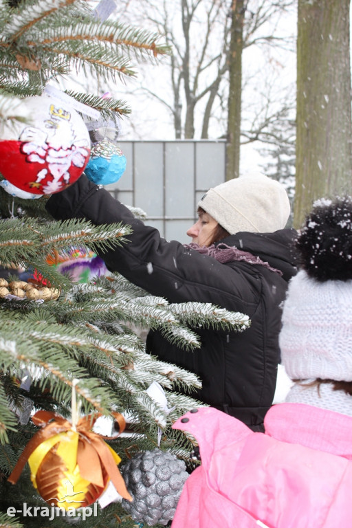 Świąteczne konkursy plastyczne rozstrzygnięte