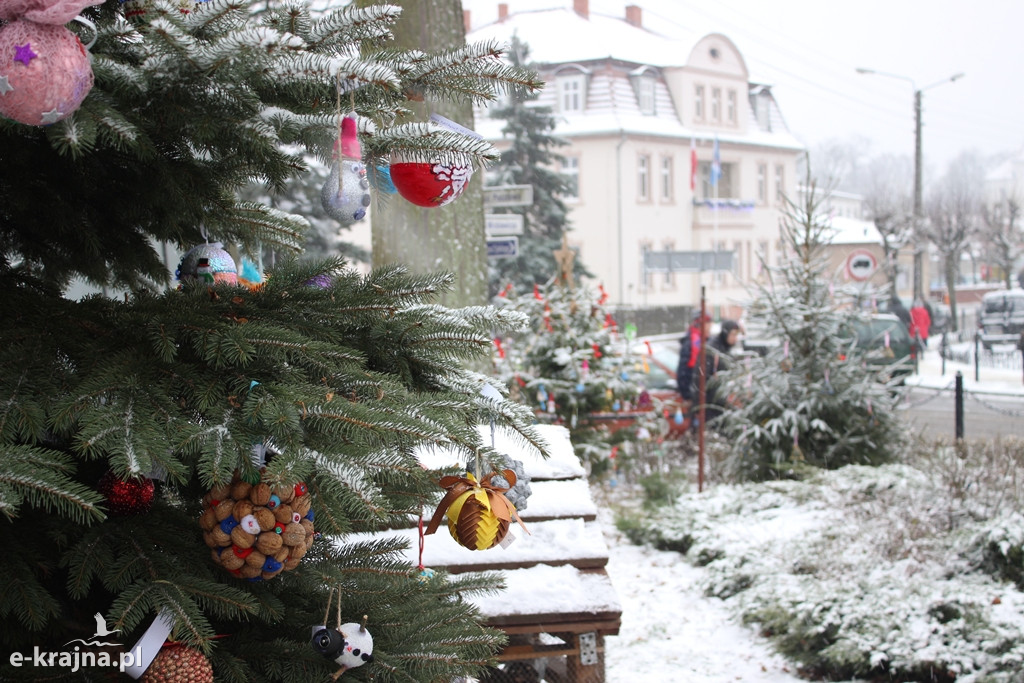Świąteczne konkursy plastyczne rozstrzygnięte