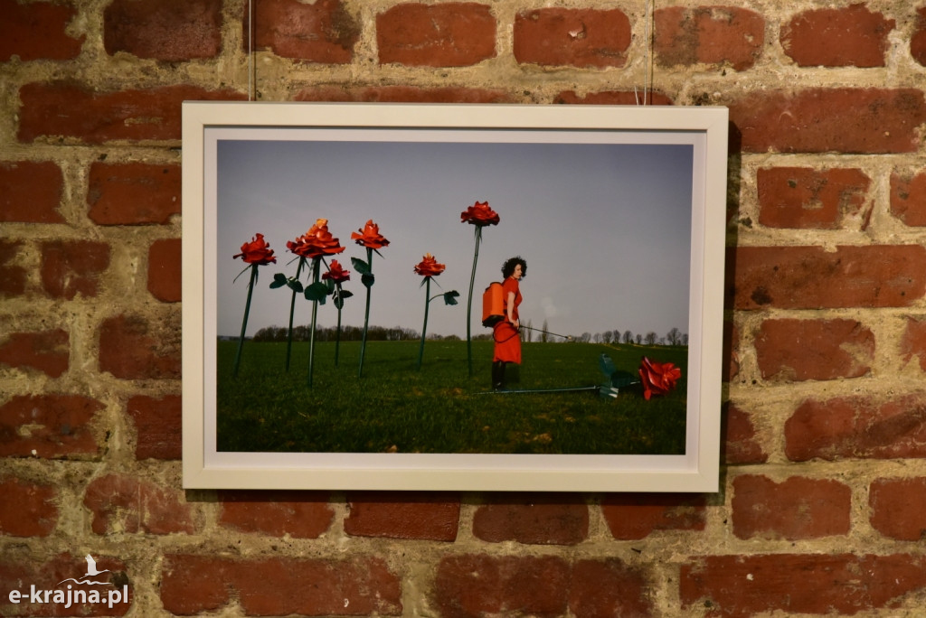 Fotograficzne Korzenie w Muzeum Fotografii