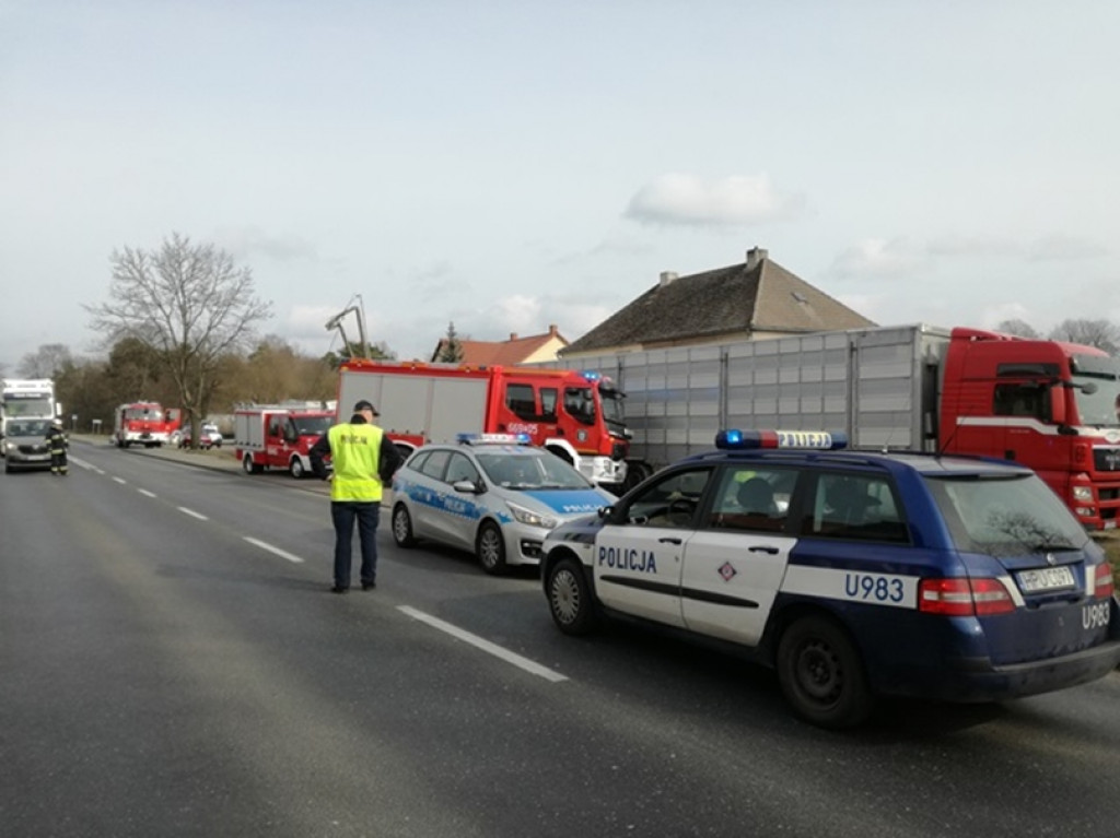 Jastrowie: Wypadek ciężarówki z tucznikami