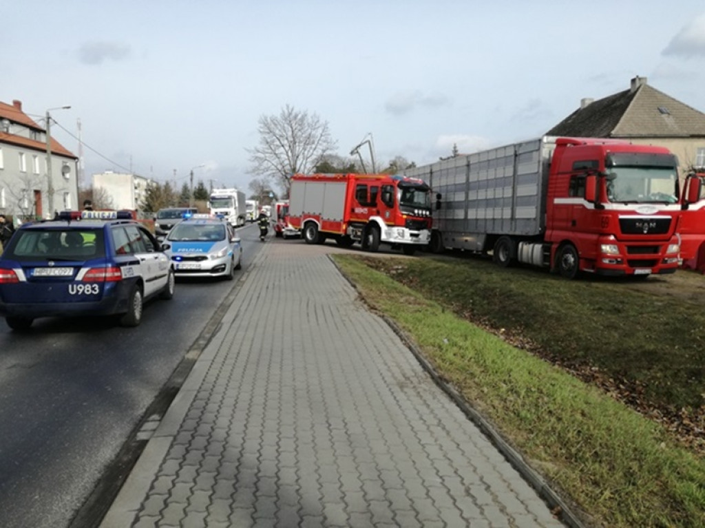 Jastrowie: Wypadek ciężarówki z tucznikami
