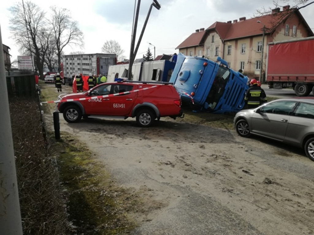 Jastrowie: Wypadek ciężarówki z tucznikami