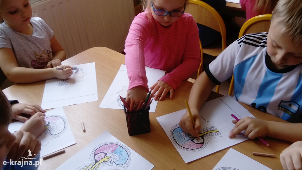 Światowy Tydzień Mózgu - akcja edukacyjna w Bajce