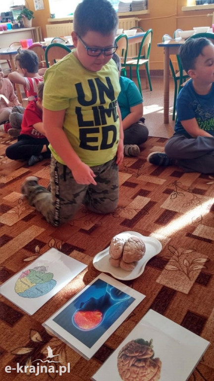 Światowy Tydzień Mózgu - akcja edukacyjna w Bajce
