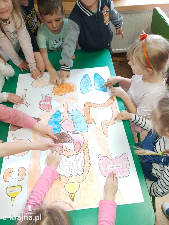 Światowy Tydzień Mózgu - akcja edukacyjna w Bajce
