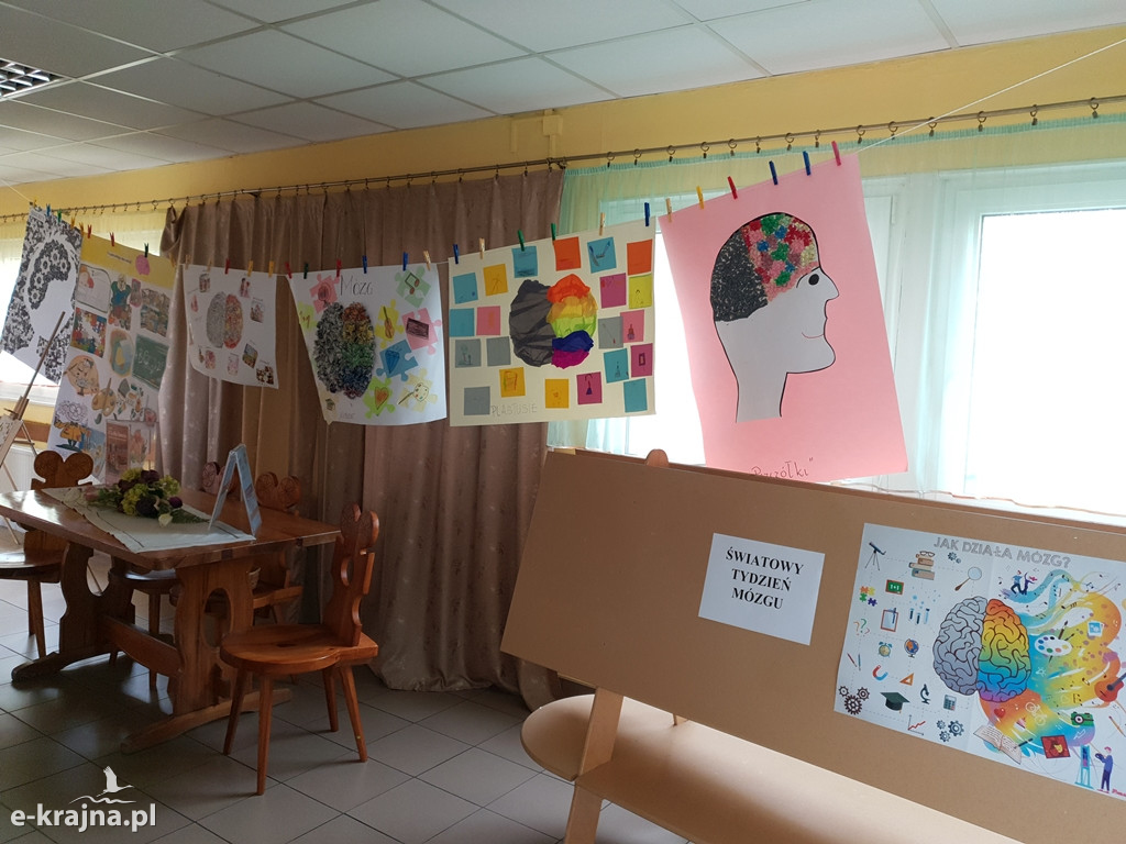 Światowy Tydzień Mózgu - akcja edukacyjna w Bajce
