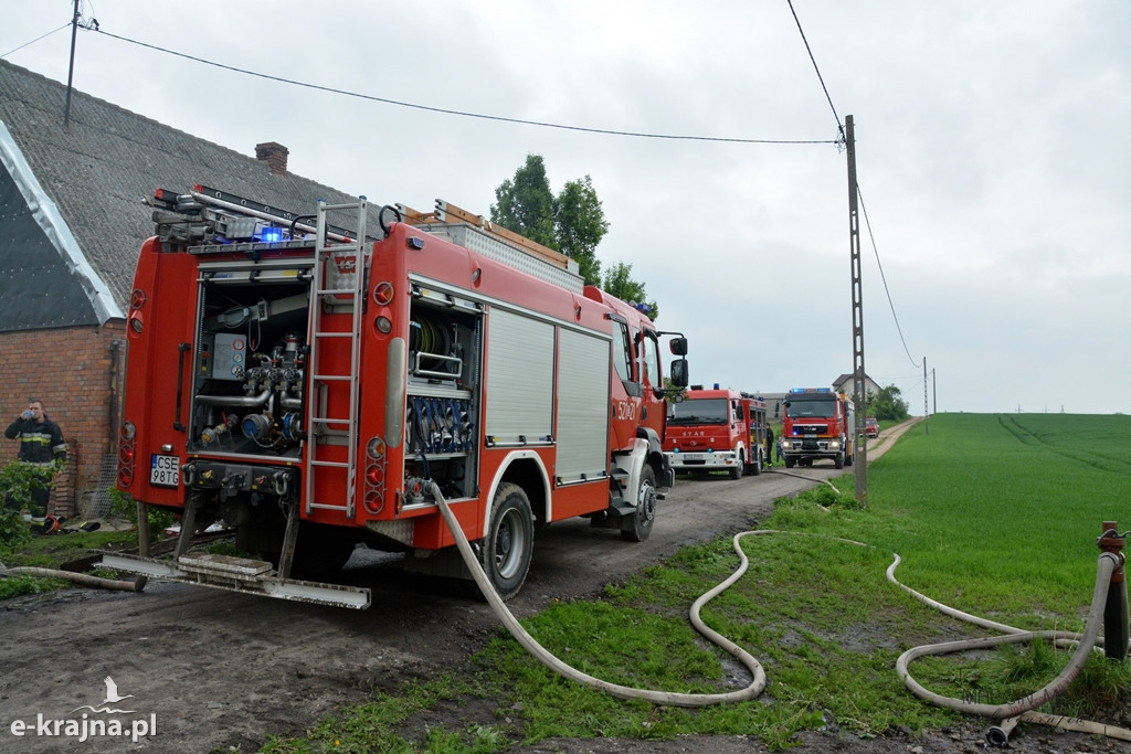 Pożar w Rogalinie
