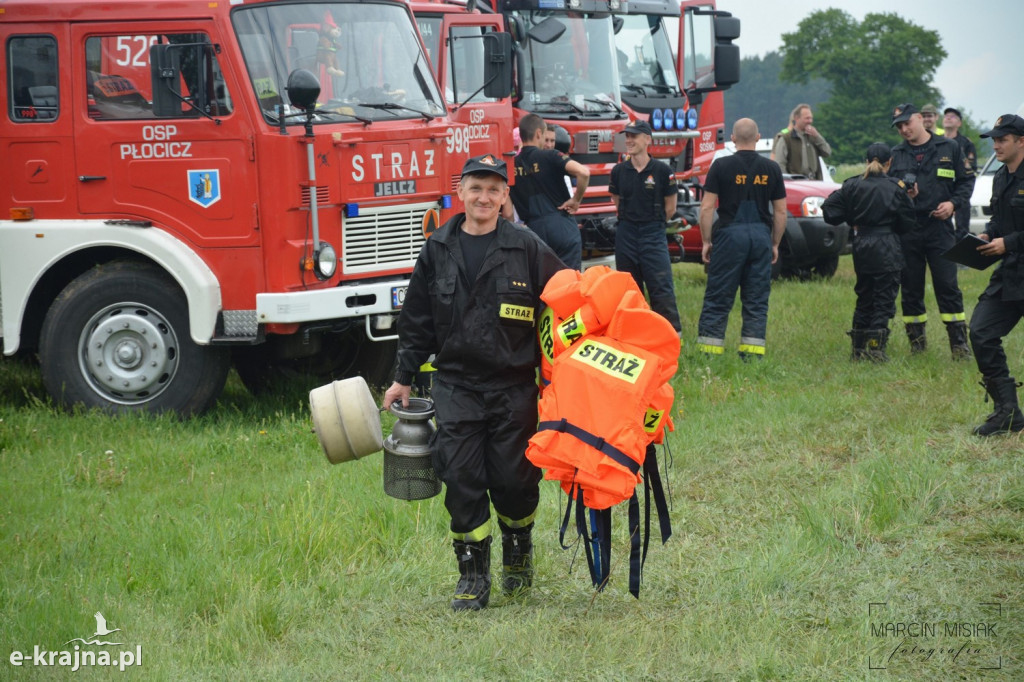 Krajeński Gaj 2019