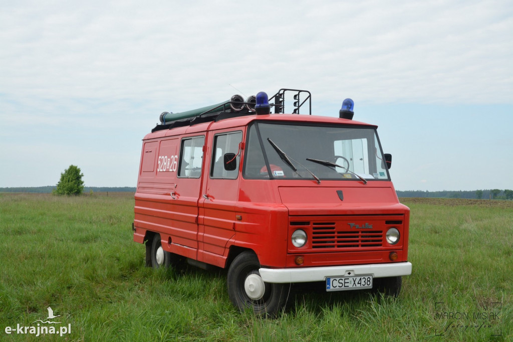 Krajeński Gaj 2019