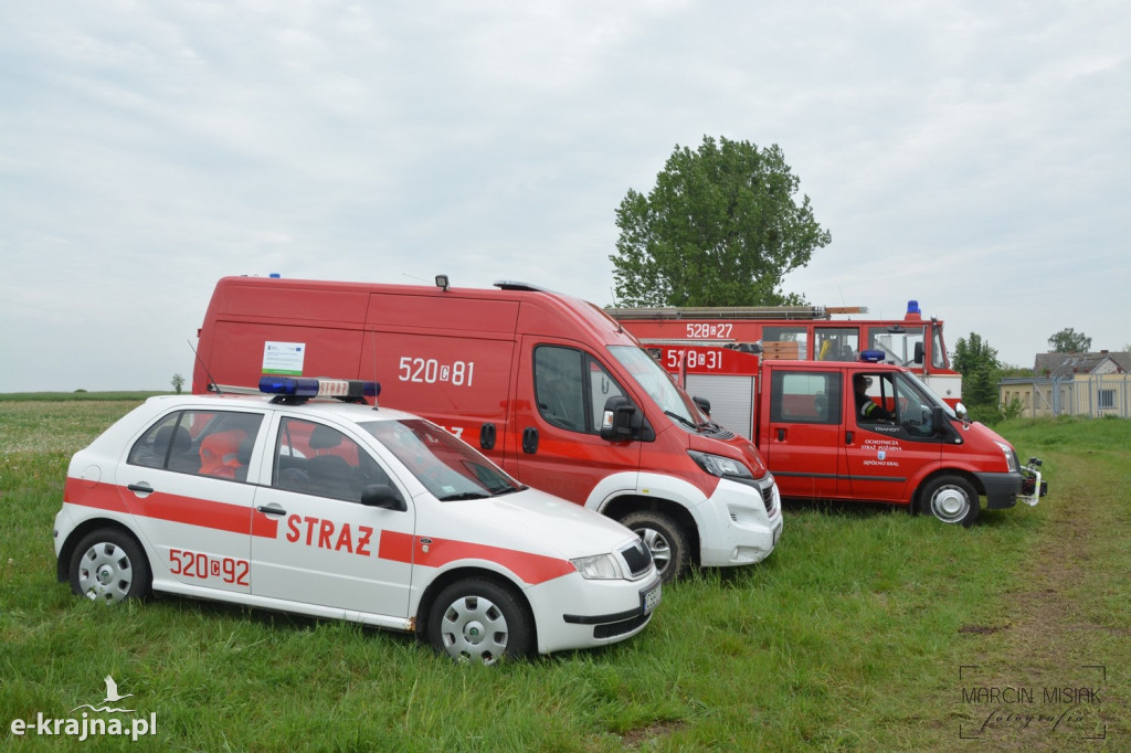 Krajeński Gaj 2019