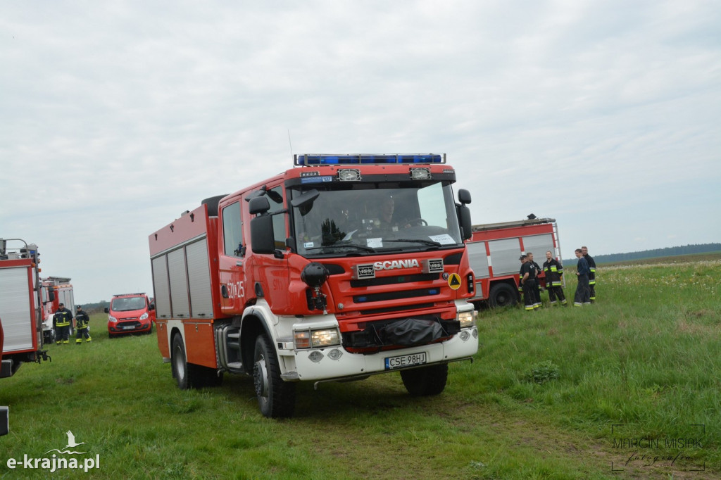 Krajeński Gaj 2019