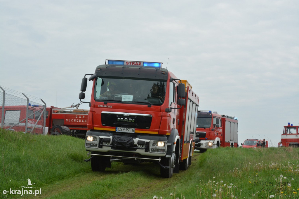 Krajeński Gaj 2019