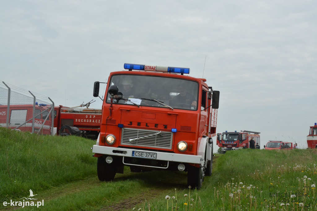 Krajeński Gaj 2019