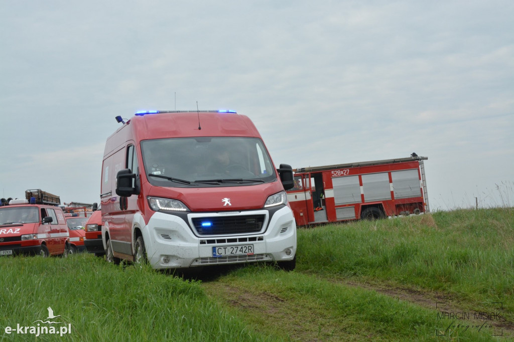 Krajeński Gaj 2019