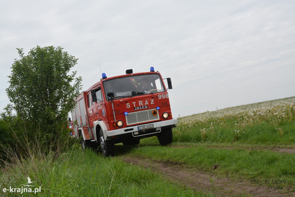 Krajeński Gaj 2019