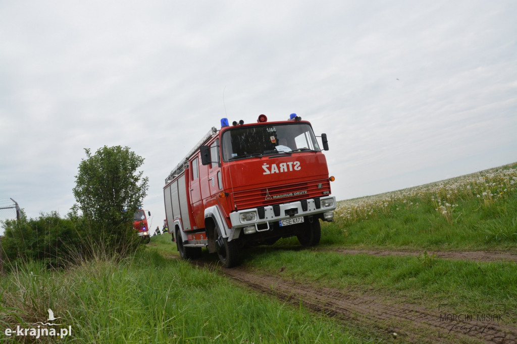 Krajeński Gaj 2019