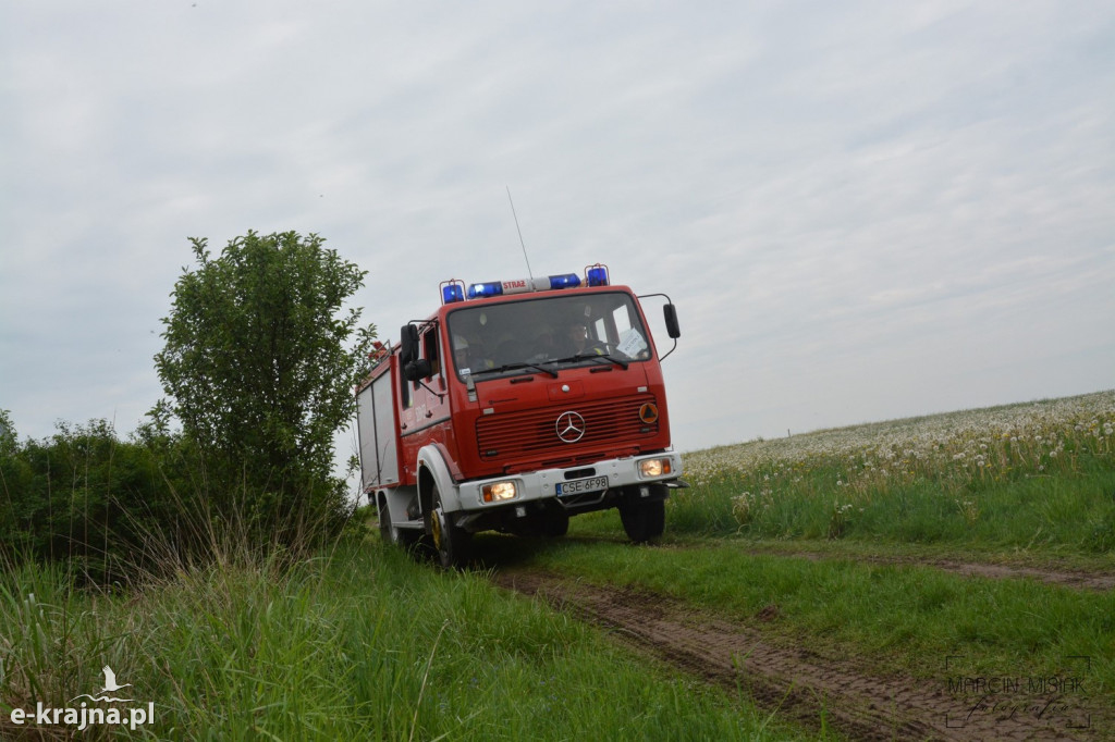 Krajeński Gaj 2019