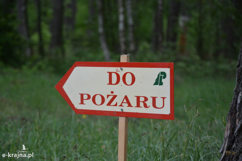 Krajeński Gaj 2019