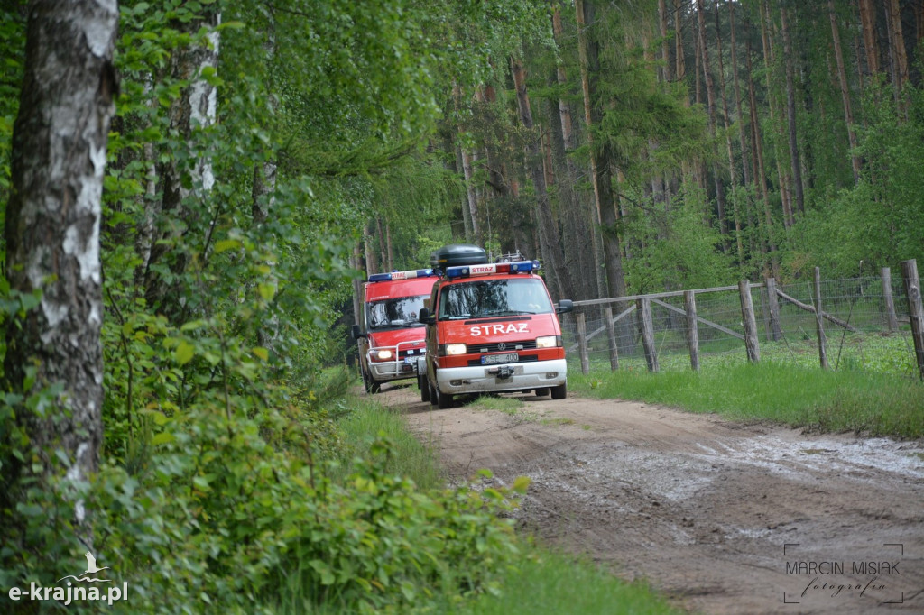 Krajeński Gaj 2019