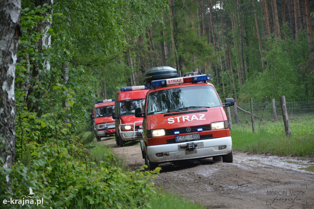Krajeński Gaj 2019