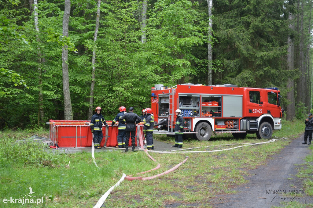 Krajeński Gaj 2019