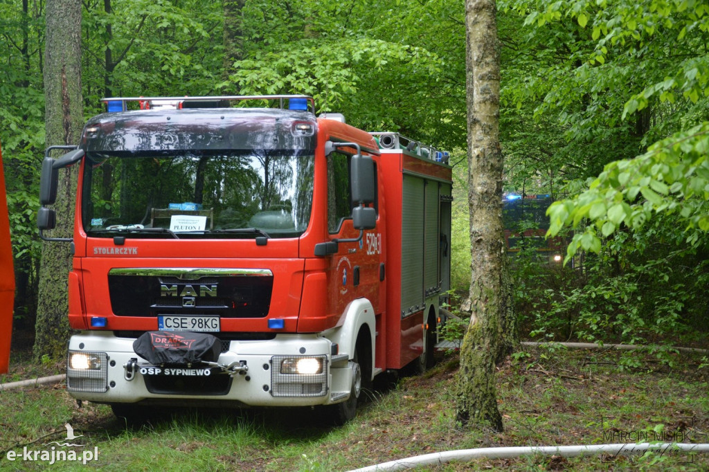 Krajeński Gaj 2019