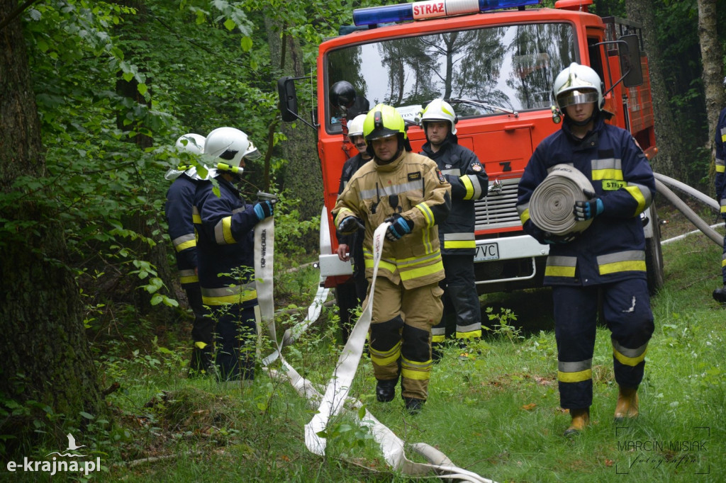 Krajeński Gaj 2019