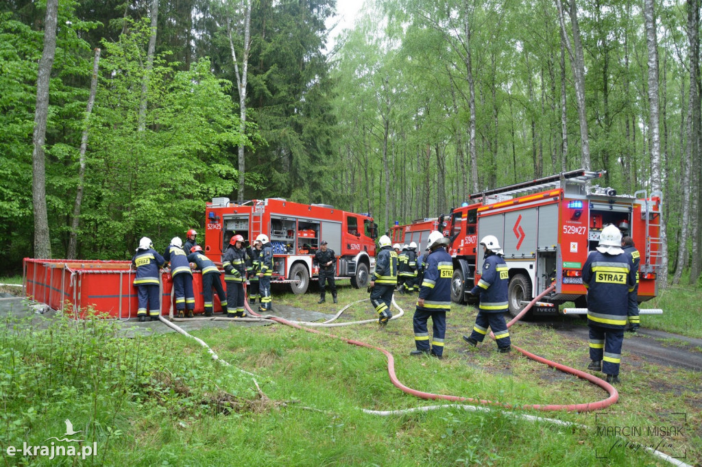 Krajeński Gaj 2019