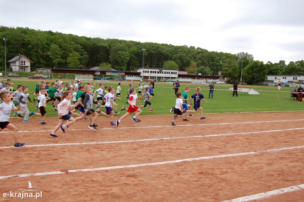XXXVII Bieg Wiosny - Więcbork 2019