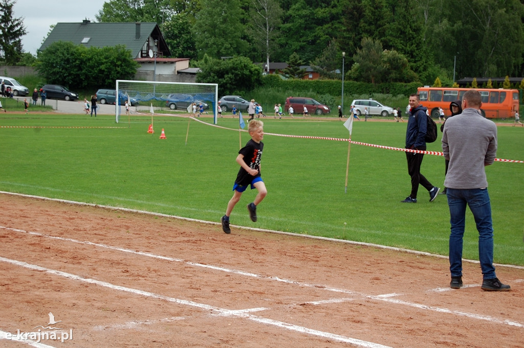 XXXVII Bieg Wiosny - Więcbork 2019