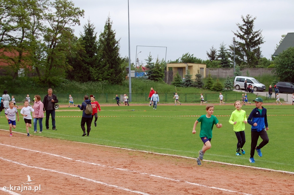 XXXVII Bieg Wiosny - Więcbork 2019
