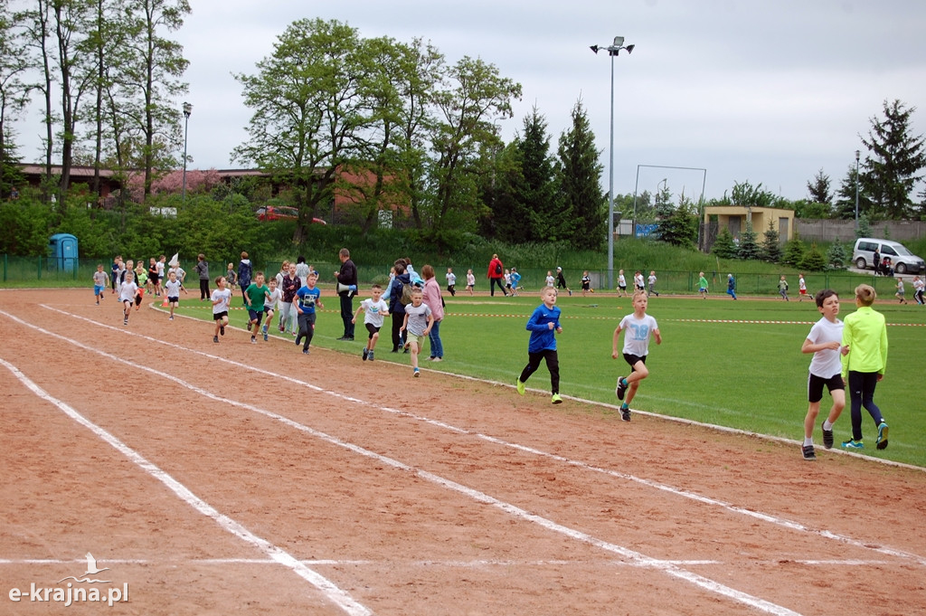 XXXVII Bieg Wiosny - Więcbork 2019