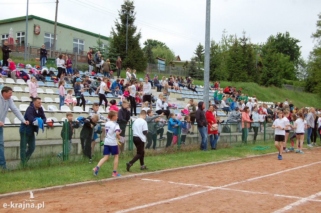 XXXVII Bieg Wiosny - Więcbork 2019