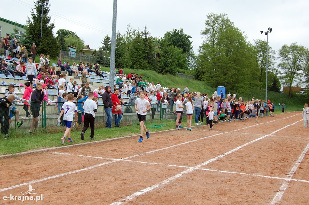 XXXVII Bieg Wiosny - Więcbork 2019
