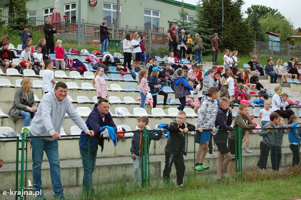 XXXVII Bieg Wiosny - Więcbork 2019