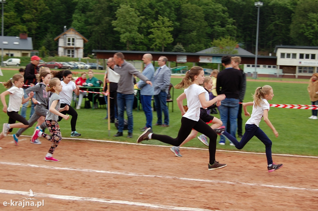XXXVII Bieg Wiosny - Więcbork 2019