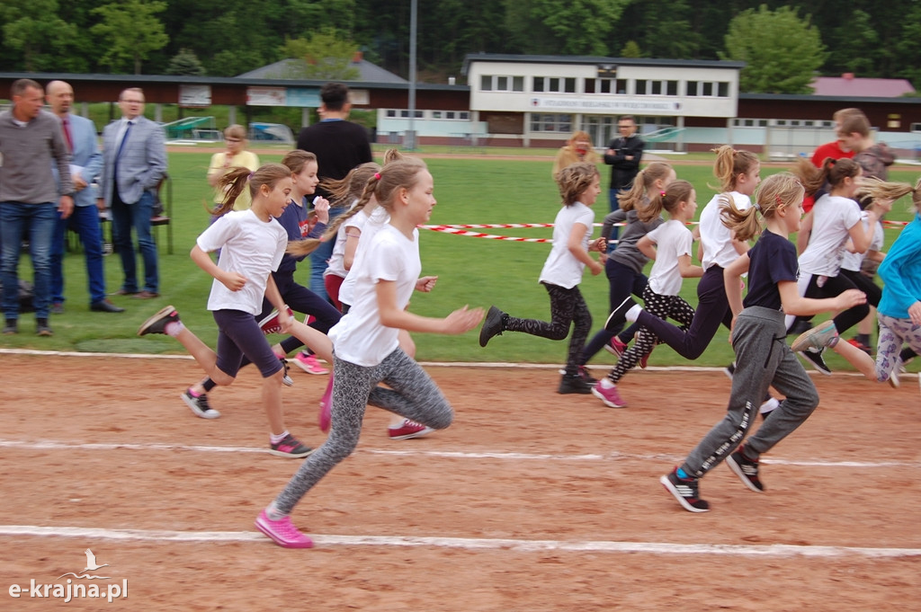 XXXVII Bieg Wiosny - Więcbork 2019