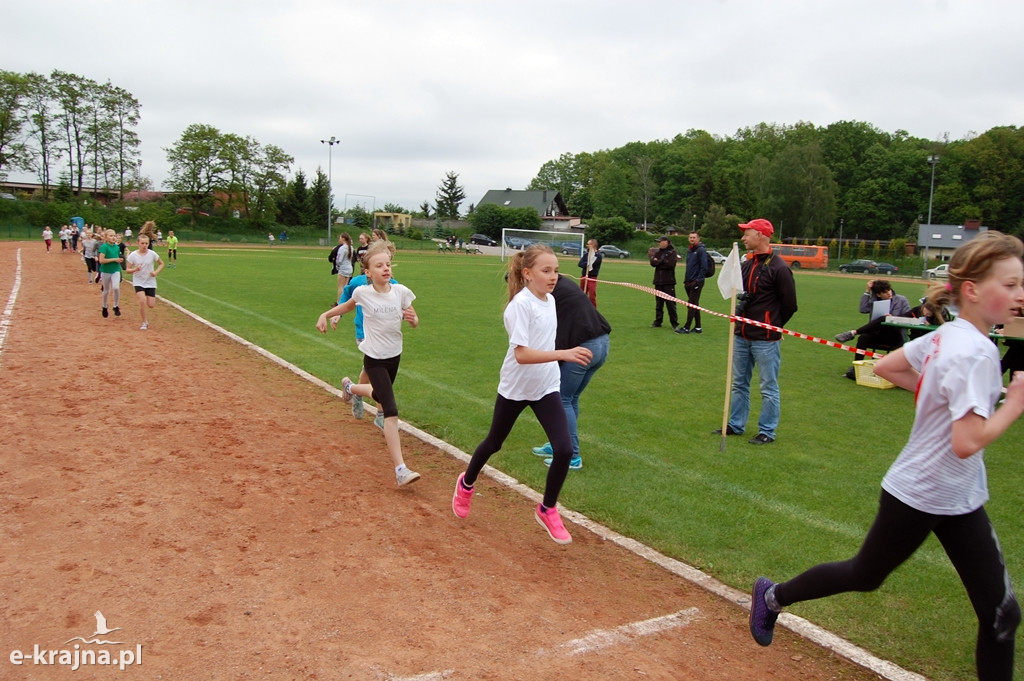 XXXVII Bieg Wiosny - Więcbork 2019